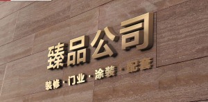 公司介绍